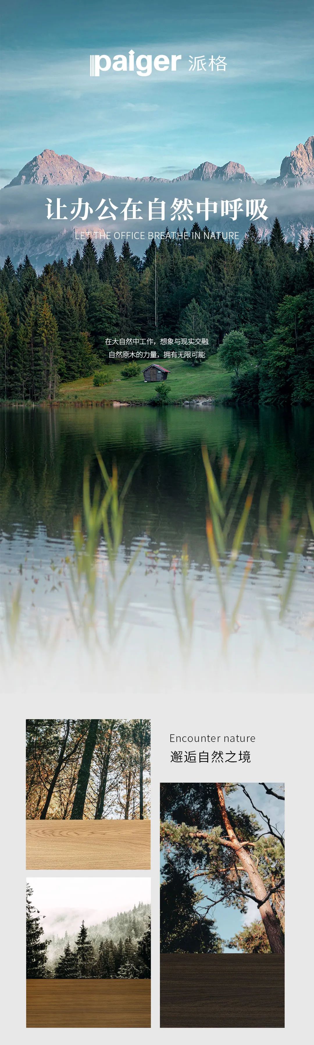 派格，讓辦公在自然中呼吸